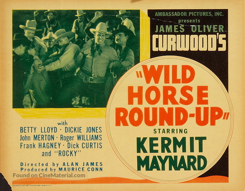 Wild Horse Roundup - Movie Poster