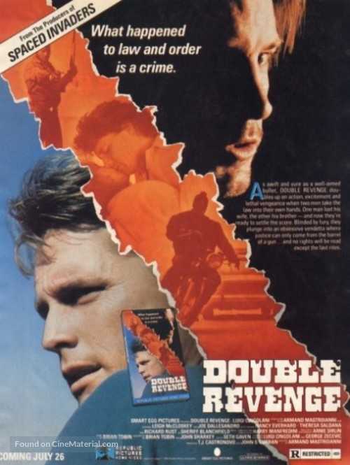Double Revenge - Video release movie poster