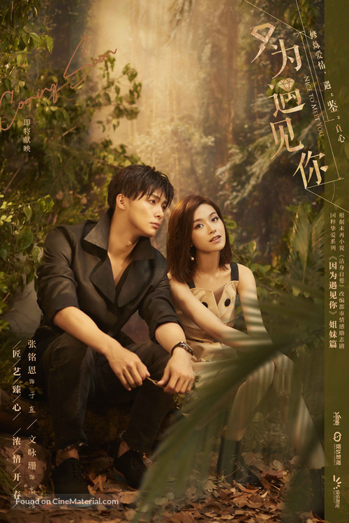 &quot;Nice to Meet You&quot; - Chinese Movie Poster