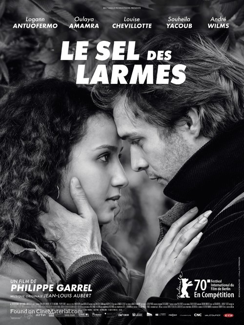 Le sel des larmes - French Movie Poster