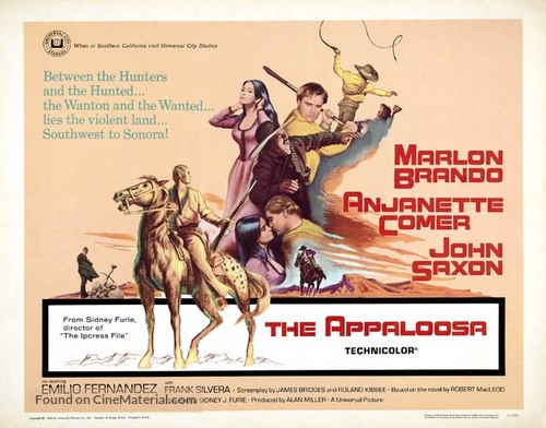 The Appaloosa - Movie Poster