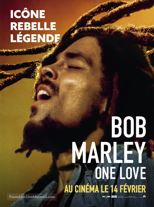 Bob Marley: One Love - French Movie Poster
