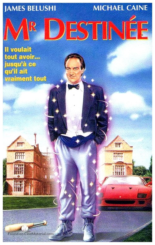 Mr. Destiny - French VHS movie cover