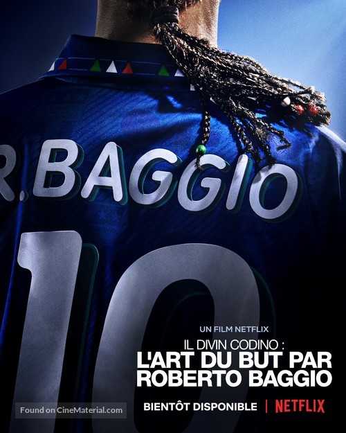 Il Divin Codino - French Movie Poster
