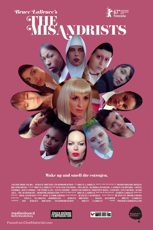 The Misandrists - German Movie Poster