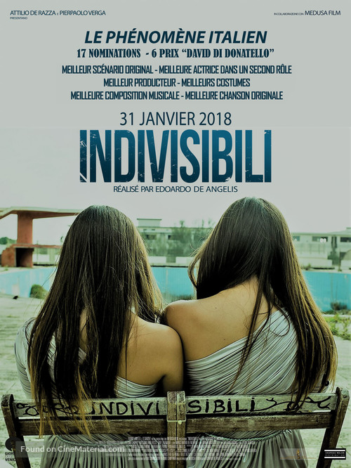 Indivisibili - French Movie Poster
