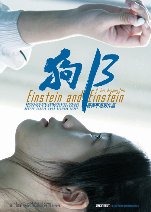 Einstein and Einstein - Chinese Movie Poster