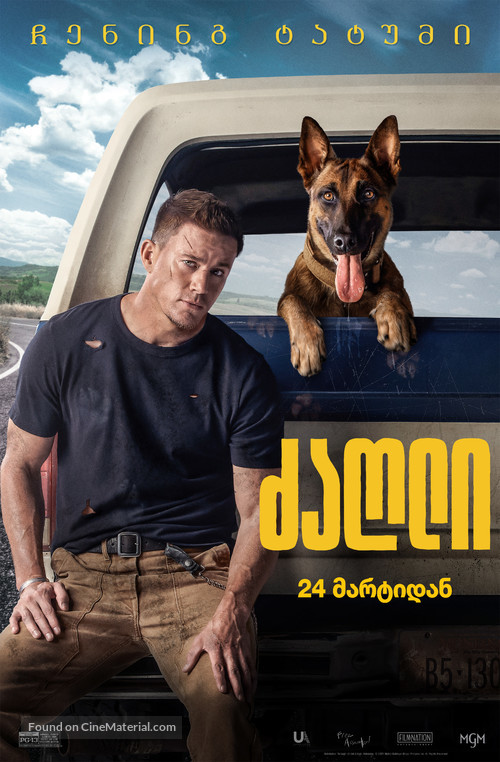 Dog - Georgian Movie Poster