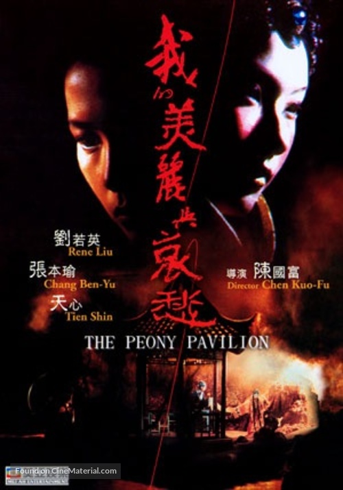 Wo de mei li yu ai chou - Taiwanese DVD movie cover