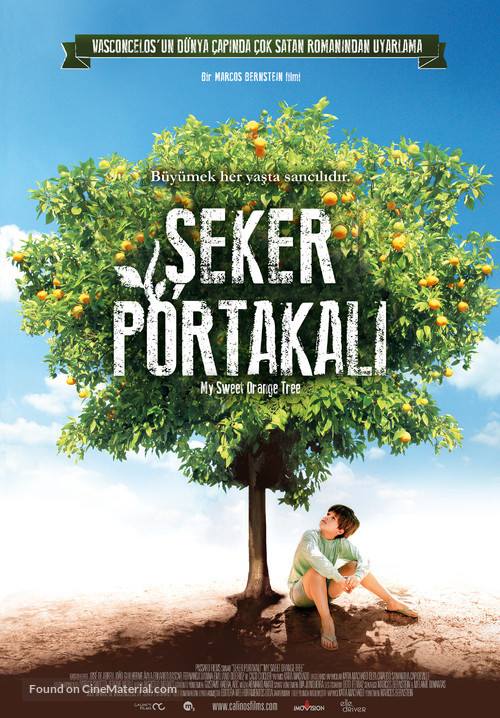 Meu p&eacute; de laranja Lima - Turkish Movie Poster