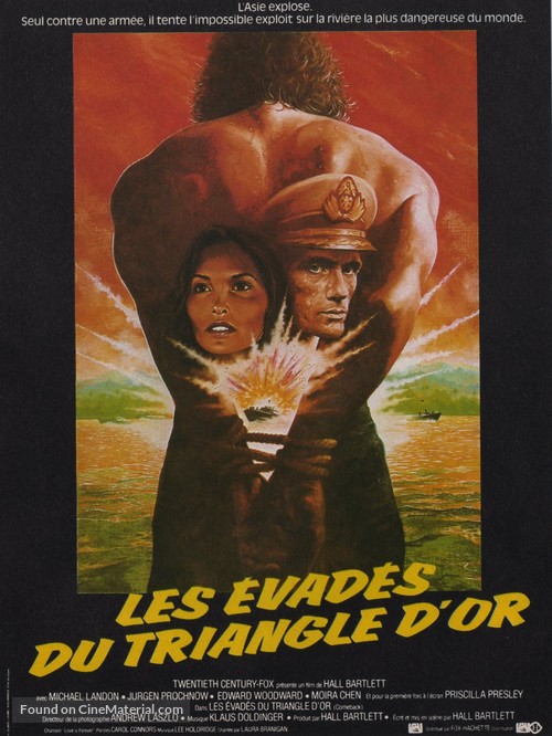 Love Is Forever - French Movie Poster