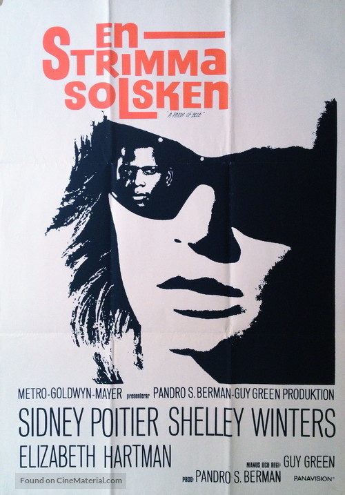 A Patch of Blue - Swedish Movie Poster