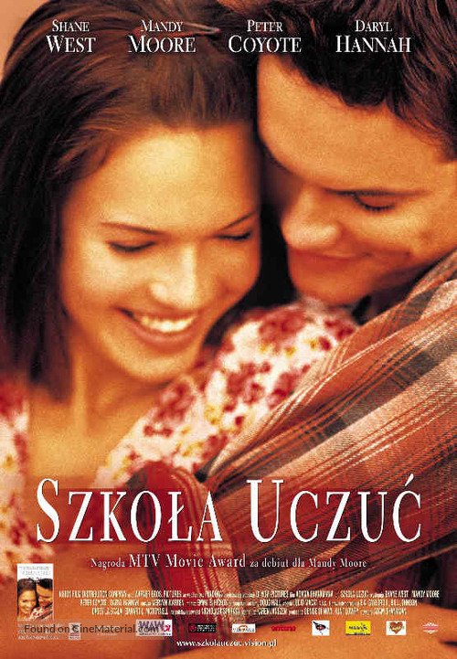 A Walk to Remember - Polish poster