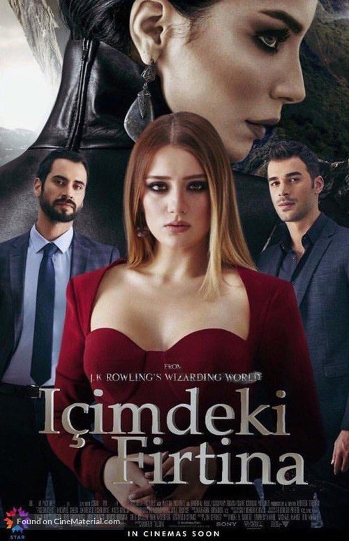 &quot;I&ccedil;imdeki Firtina&quot; - Turkish Movie Poster
