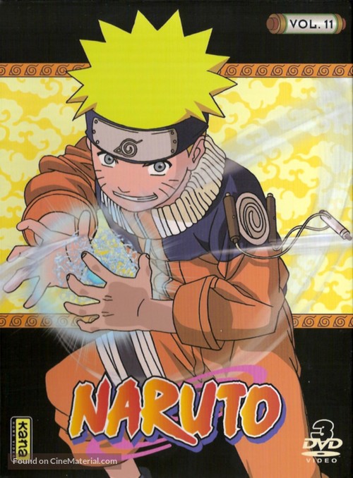 &quot;Naruto&quot; - French DVD movie cover