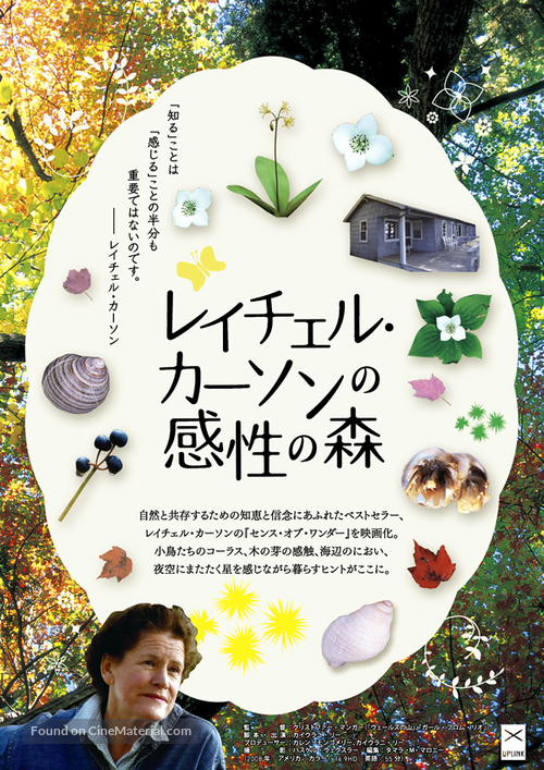 A Sense of Wonder - Japanese Movie Poster