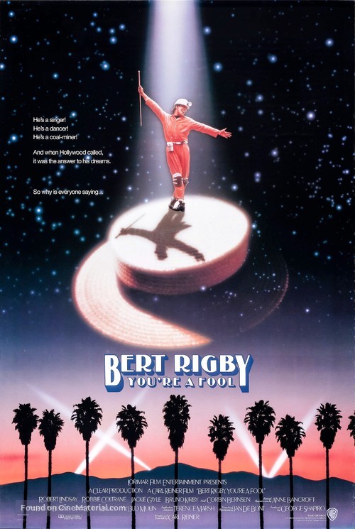 Bert Rigby, You&#039;re a Fool - Movie Poster
