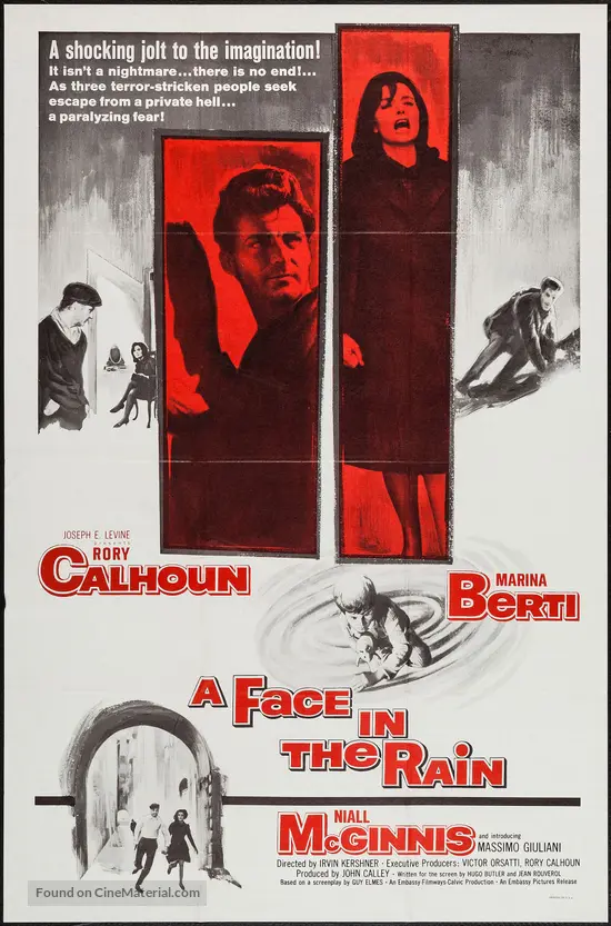 Face in the Rain - Movie Poster