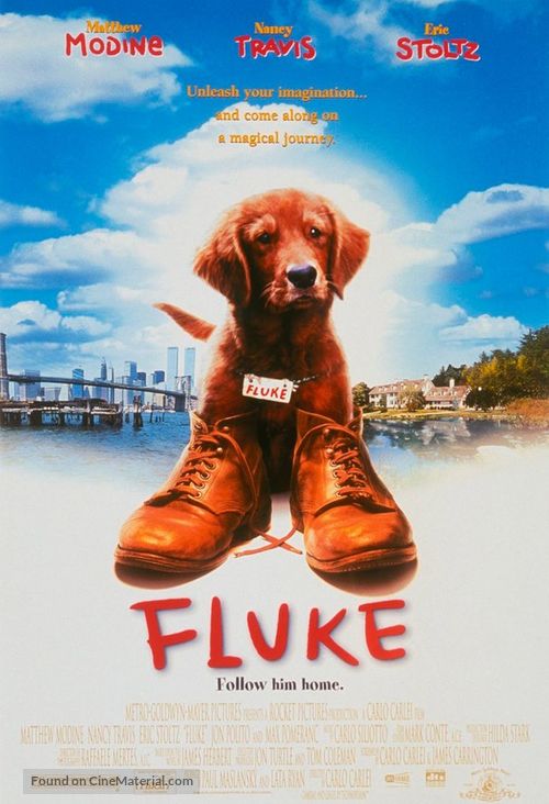 Fluke - Movie Poster