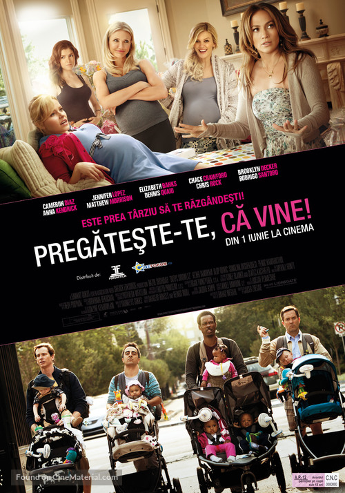 What to Expect When You&#039;re Expecting - Romanian Movie Poster