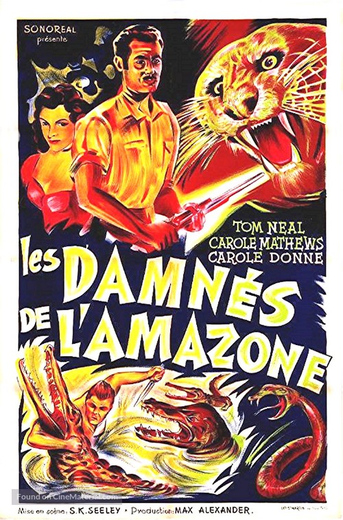 Amazon Quest - French Movie Poster