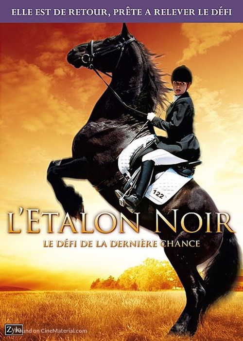 The Dark Horse - French DVD movie cover