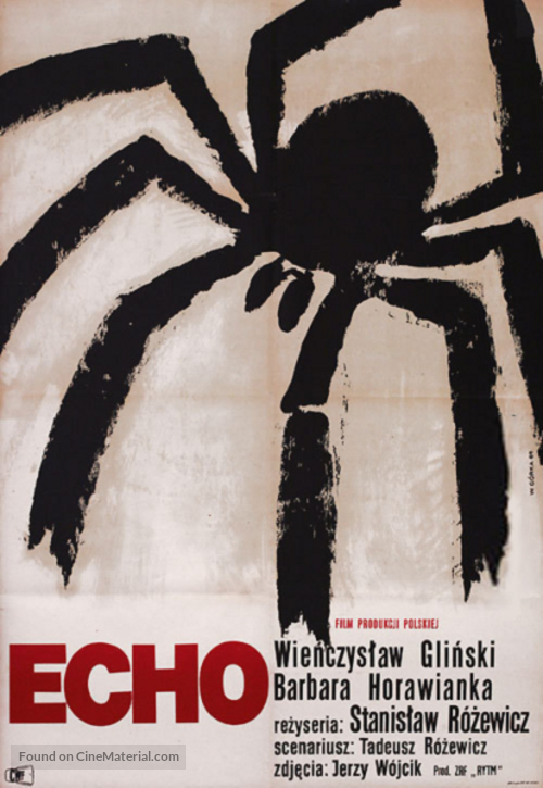 Echo - Polish Movie Poster