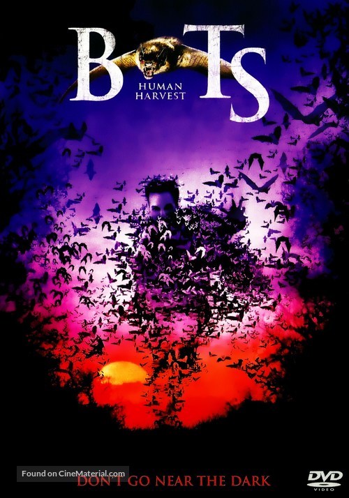 Bats - DVD movie cover