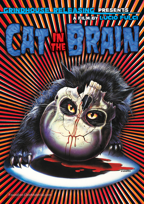 Un gatto nel cervello - DVD movie cover