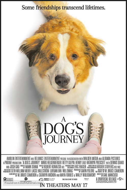 dog's journey imdb