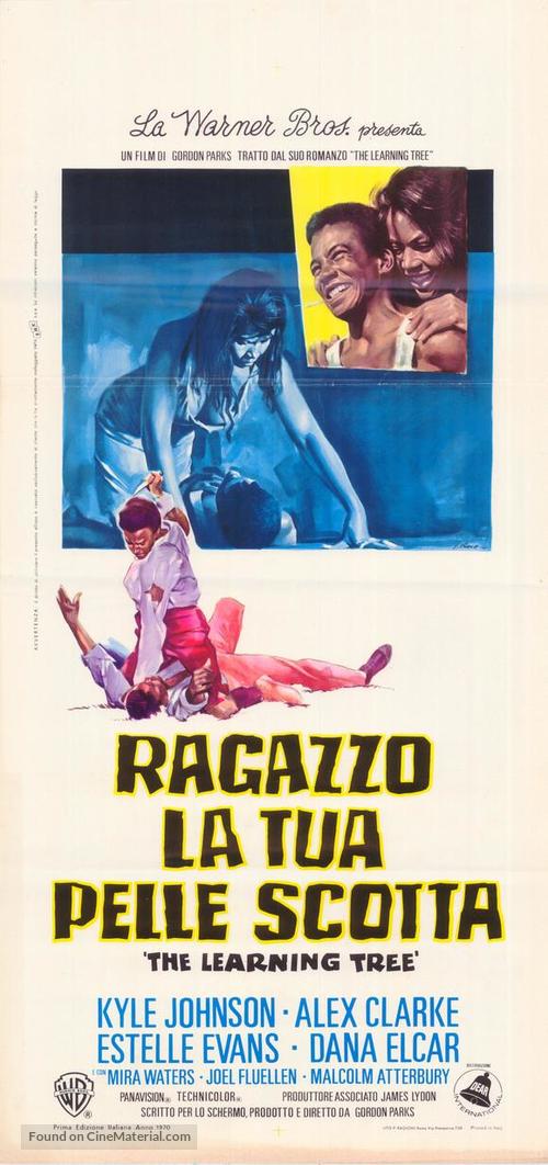 The Learning Tree - Italian Movie Poster