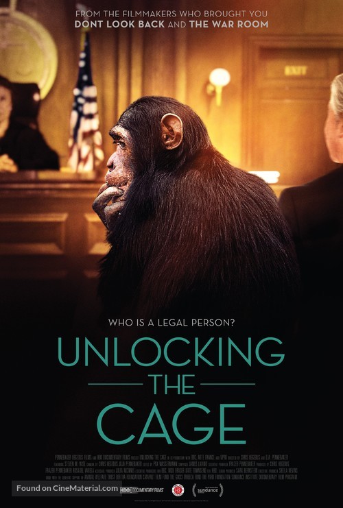 Unlocking the Cage - Movie Poster