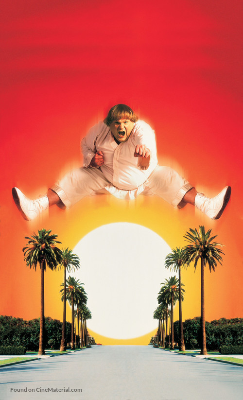 Beverly Hills Ninja - Key art