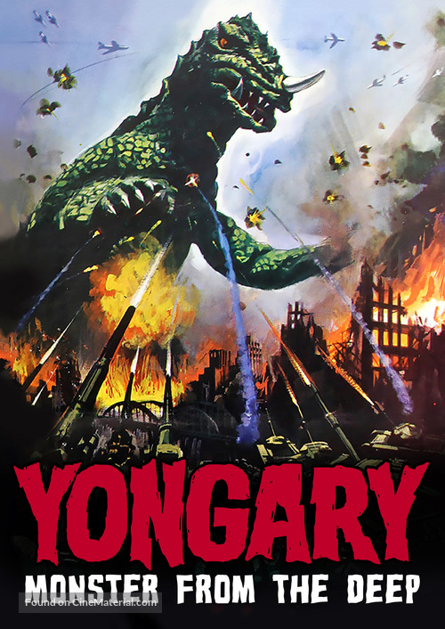 Taekoesu Yonggary - DVD movie cover