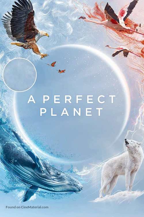 &quot;A Perfect Planet&quot; - British Movie Cover