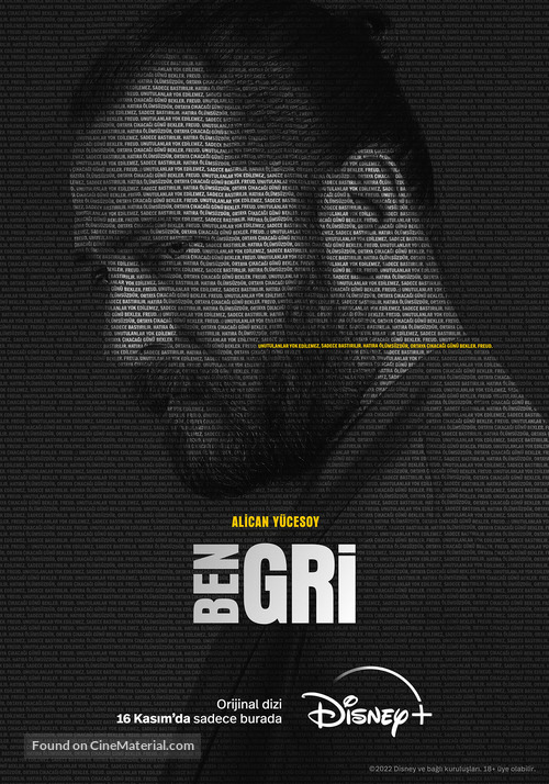 &quot;Ben Gri&quot; - Turkish Movie Poster