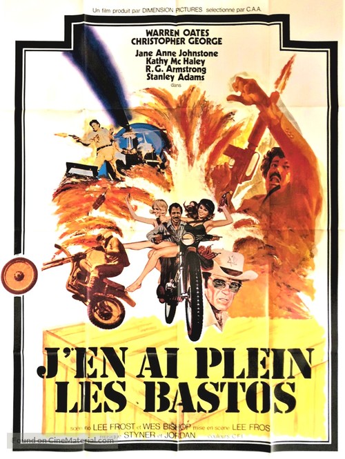 Dixie Dynamite - French Movie Poster