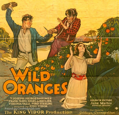 Wild Oranges - Theatrical movie poster