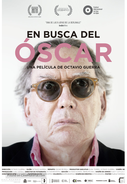 En busca del &Oacute;scar - Spanish Movie Poster