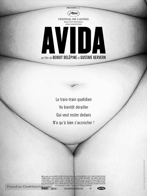 Avida - French poster
