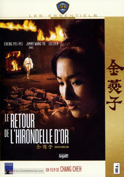 Jin yan zi - French DVD movie cover