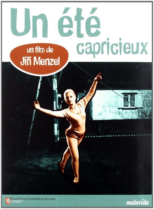Rozmarn&eacute; l&eacute;to - French DVD movie cover