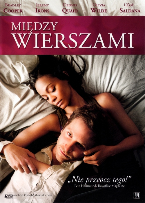 The Words - Polish DVD movie cover