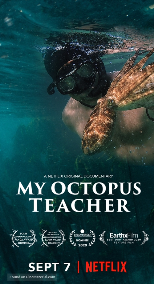 My Octopus Teacher - South African Movie Poster