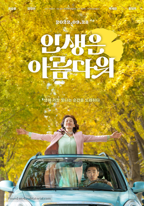 Insaeng-eun Areumdaweo - South Korean Movie Poster