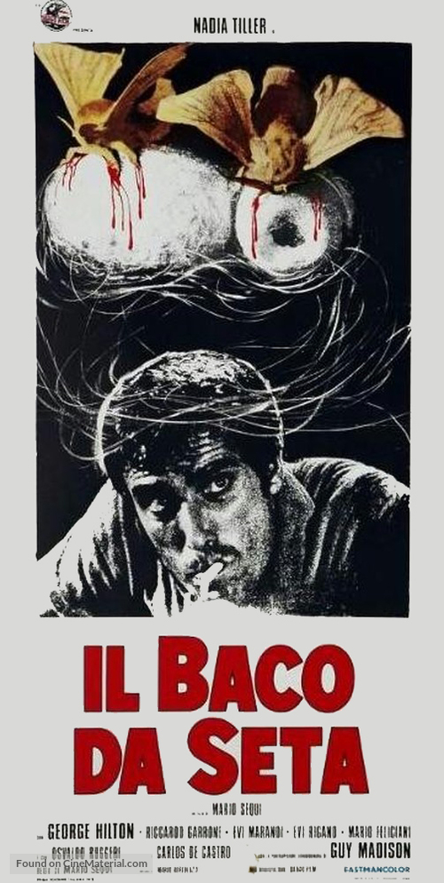 Il baco da seta - Italian Movie Poster