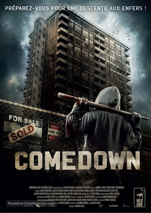 Comedown - French Movie Poster