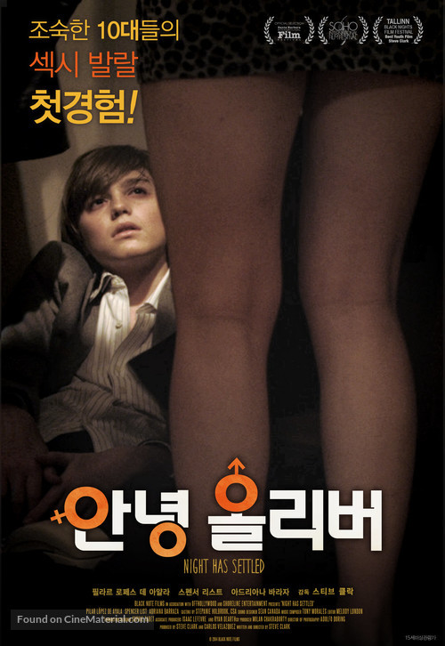 Night Has Settled - South Korean Movie Poster