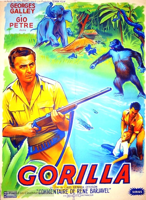 Gorilla - French Movie Poster