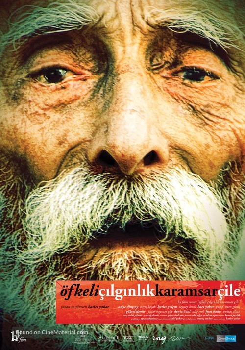 &Ouml;fkeli &ccedil;ilginlik karamsar &ccedil;ile - Turkish Movie Poster